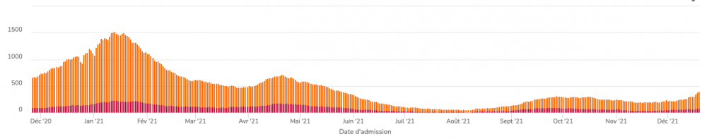 Screen Shot 2021-12-20 at 3.49.09 PM.png