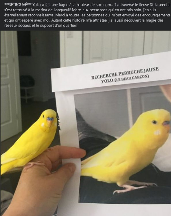 Screenshot_2021-05-27 Facebook.png