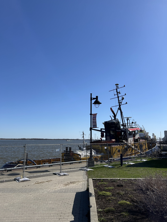 IMG_4431.jpeg