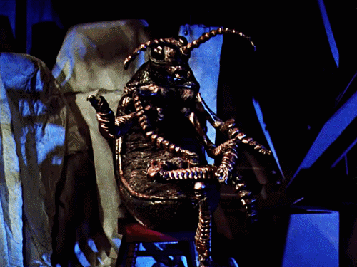 image.gif