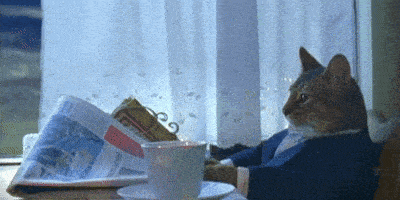 image.gif