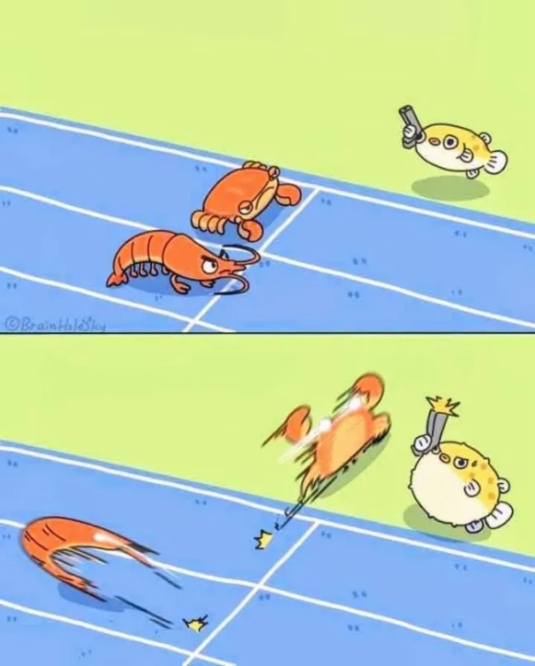 top.png