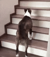 char à vannes.gif