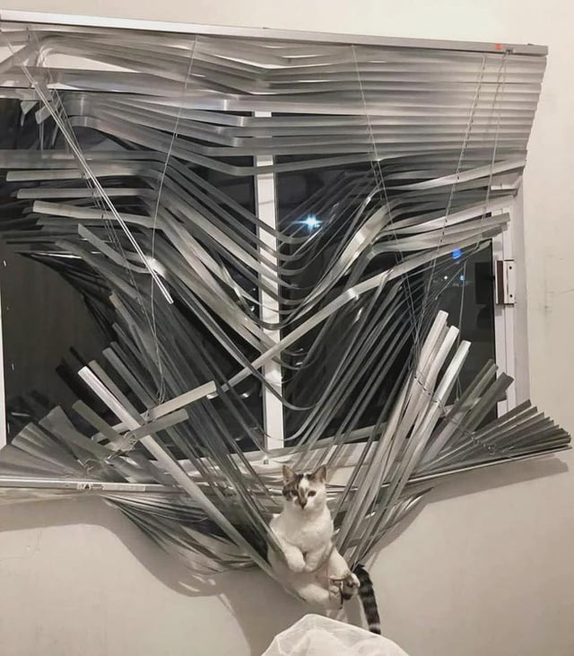 store et à travers.jpeg