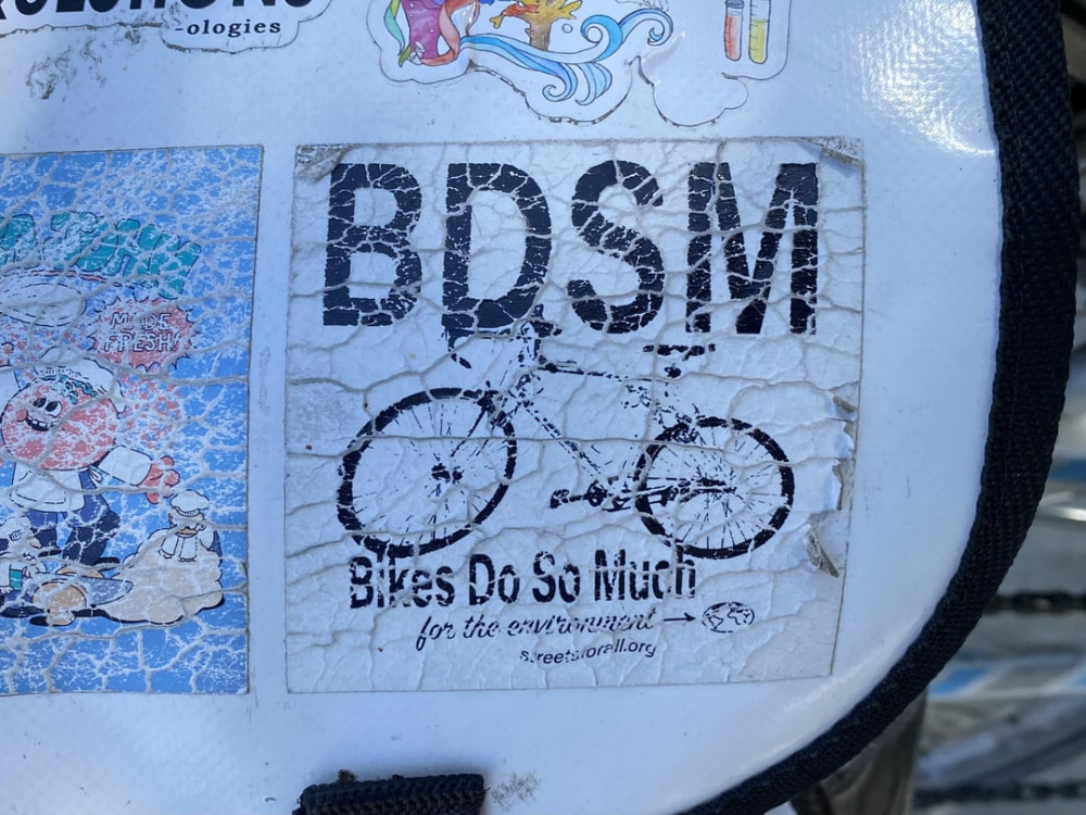 bdsm.png