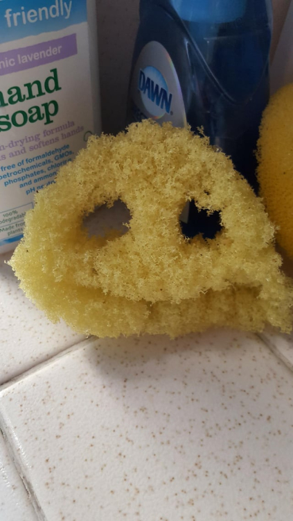 soap.jpeg