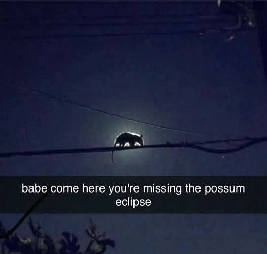image.jpeg