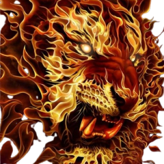 Tigre