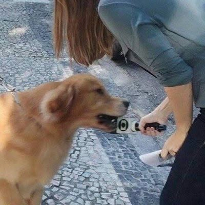 709701237_1669202534396051_6389836004654630404_n.jpg