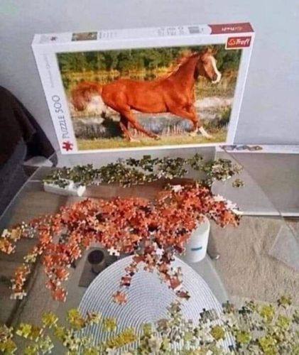 Cheval.jpg.b63b1c9aa772e4d71e3627dc34df3814.jpg
