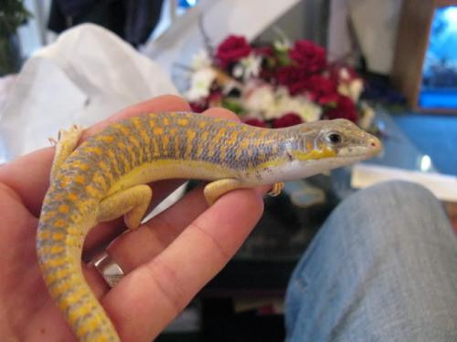 post-4952-052213400 1323748353_thumb.jpg