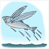 poisson volant